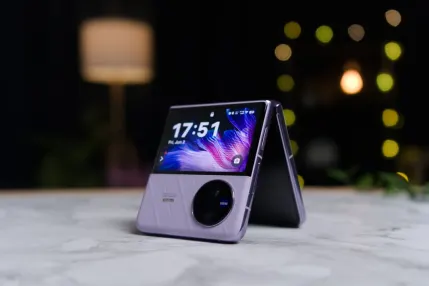 Casino Jungle Raja Mobilapp